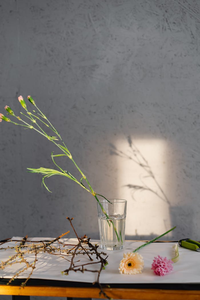 ours-journey Simple floral arrangement with soft lighting casting shadows on the wall.